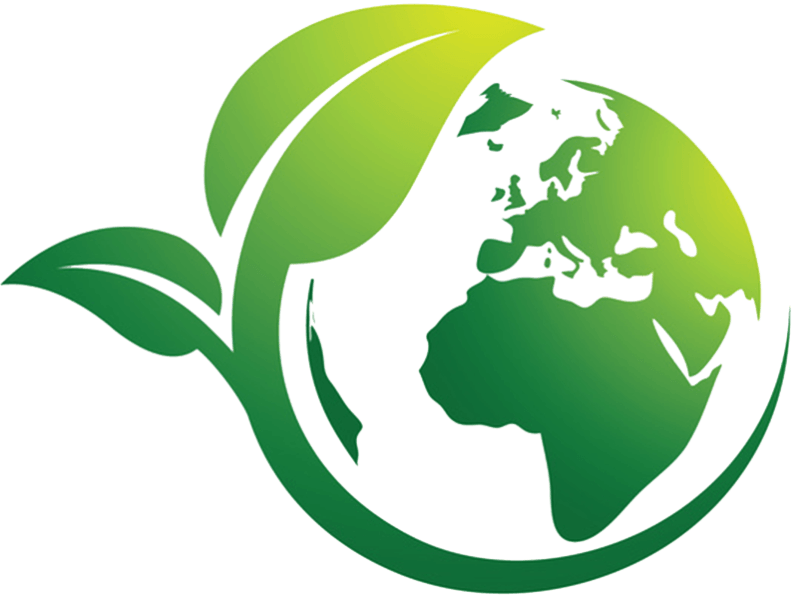 Discover Eco-Friendly